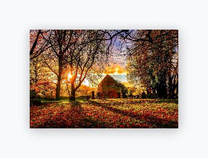 Lustre Print 8x12 - Lustre Print 8x12