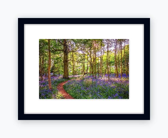 Classic 12x16 Black Frame, Snow White Mount - Classic 12x16 Black Frame, Snow White Mount