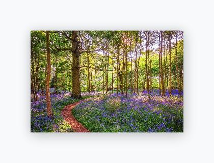 Lustre Print 8x12 - Lustre Print 8x12