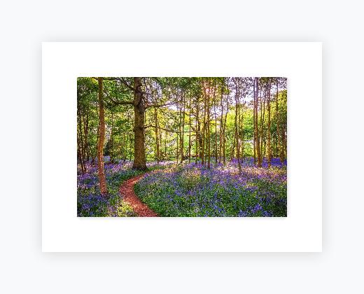 Mounted Print 12x16 (A3), Snow White Mount - Mounted Print 12x16 (A3), Snow White Mount