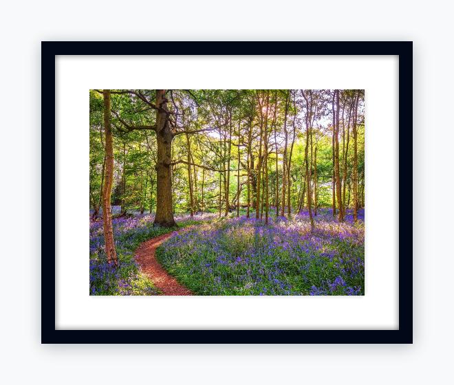 Classic 16x20 Black Frame, Snow White Mount - Classic 16x20 Black Frame, Snow White Mount