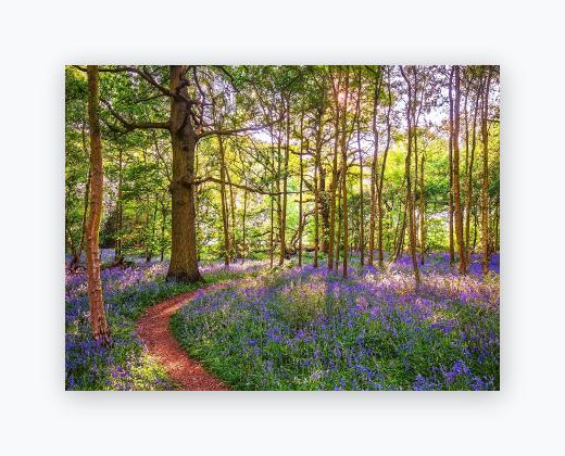 Lustre Print 12x16 - Lustre Print 12x16