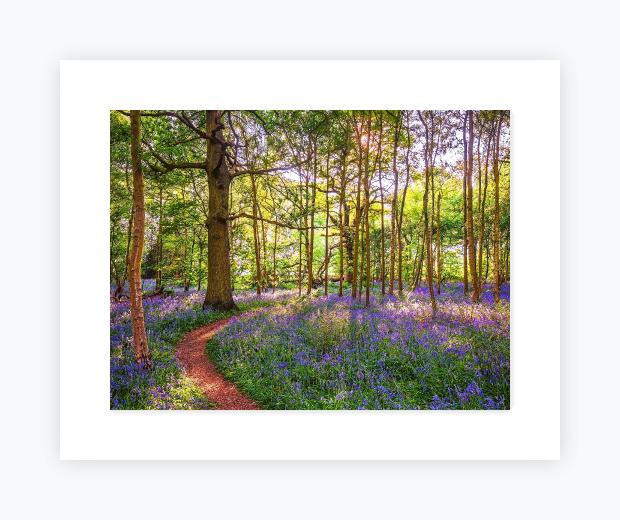 Mounted Print 16x20, Snow White Mount - Mounted Print 16x20, Snow White Mount