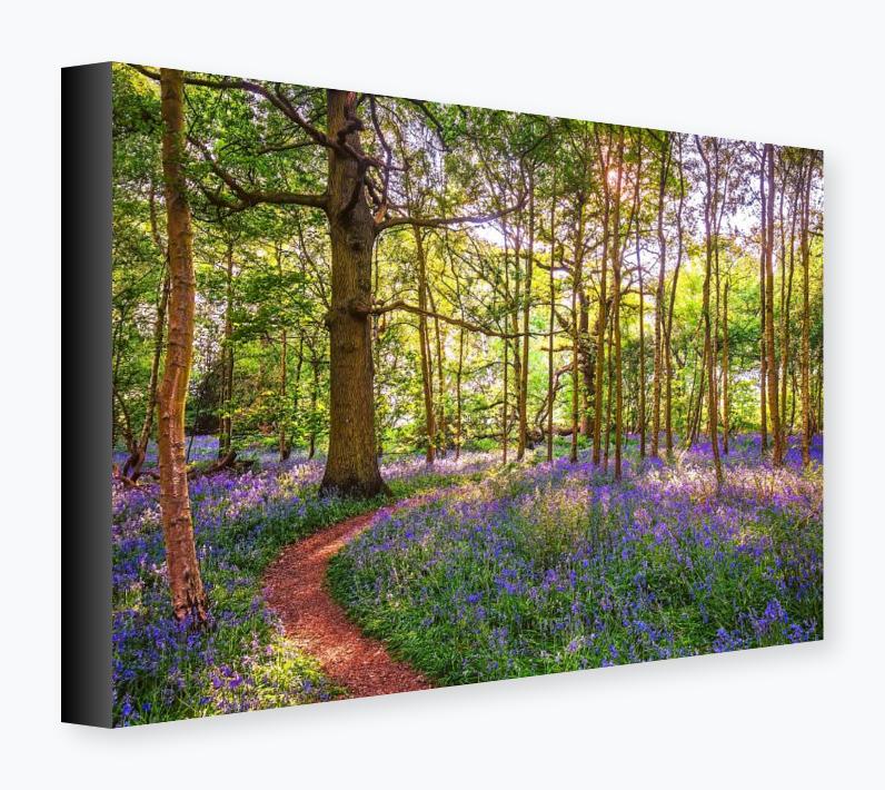 Stretched Canvas 12x16 on 38mm Bar, Black Wrap - Stretched Canvas 12x16 on 38mm Bar, Black Wrap