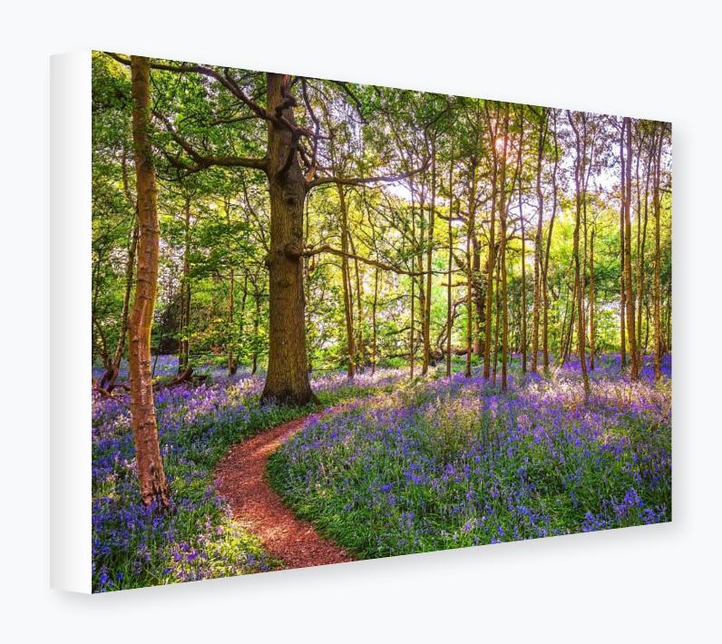 Stretched Canvas 12x16 on 38mm Bar, White Wrap - Stretched Canvas 12x16 on 38mm Bar, White Wrap