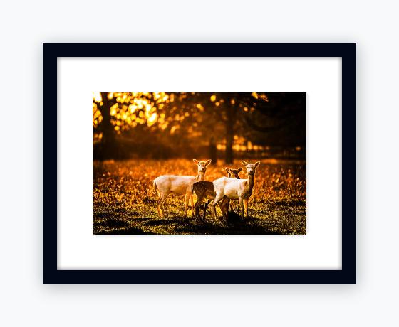 Classic 12x16 Black Frame, Snow White Mount - Classic 12x16 Black Frame, Snow White Mount
