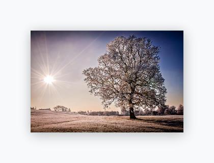Lustre Print 8x12 - Lustre Print 8x12