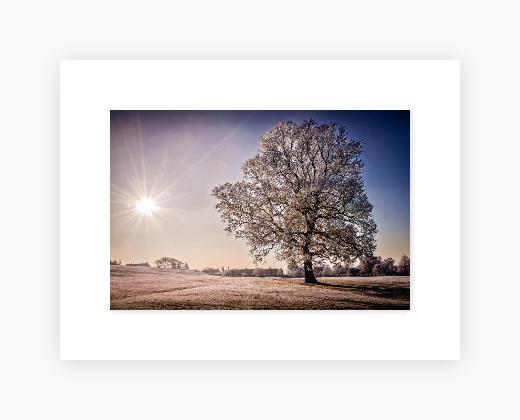 Mounted Print 12x16 (A3), Snow White Mount - Mounted Print 12x16 (A3), Snow White Mount
