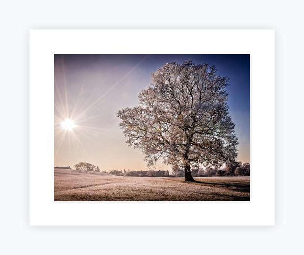 Mounted Print 16x20, Snow White Mount - Mounted Print 16x20, Snow White Mount