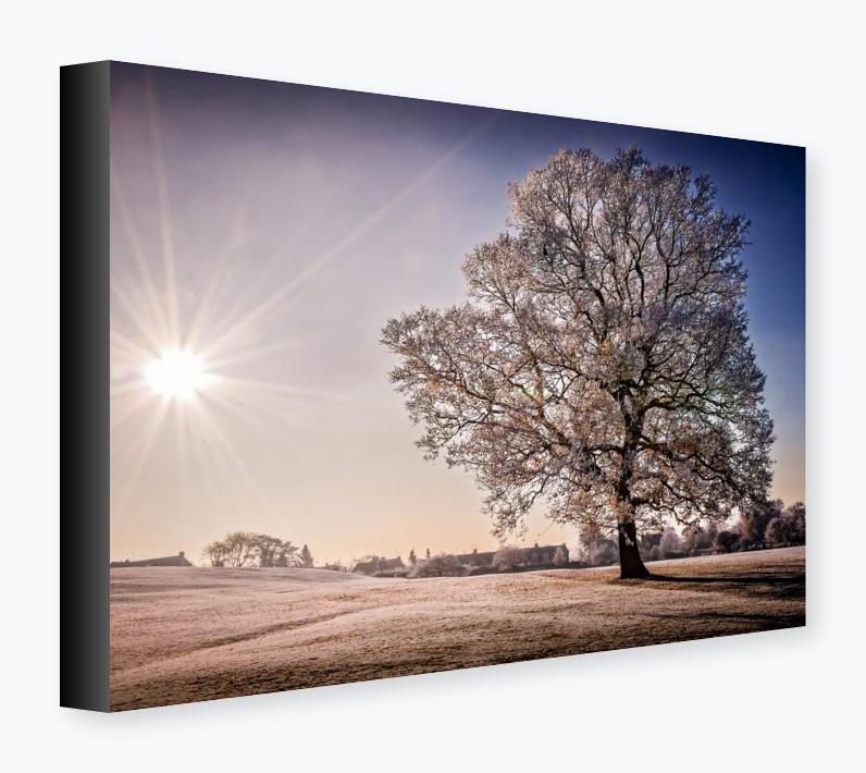 Stretched Canvas 12x16 on 38mm Bar, Black Wrap - Stretched Canvas 12x16 on 38mm Bar, Black Wrap