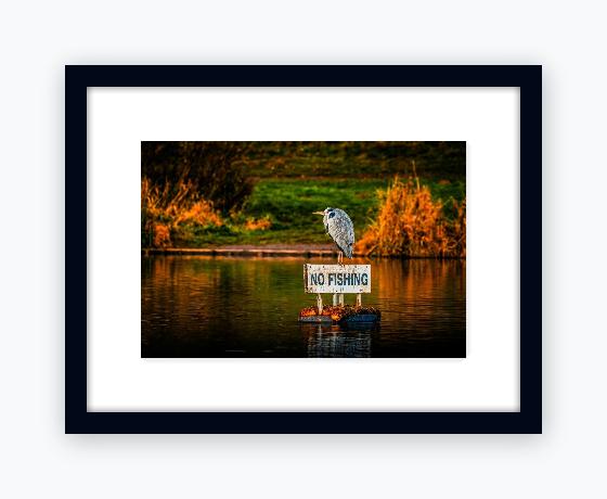 Classic 12x16 Black Frame, Snow White Mount - Classic 12x16 Black Frame, Snow White Mount