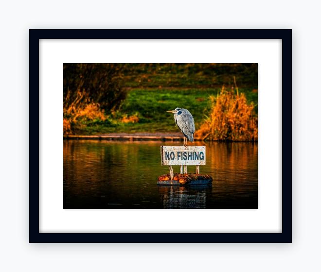 Classic 16x20 Black Frame, Snow White Mount - Classic 16x20 Black Frame, Snow White Mount