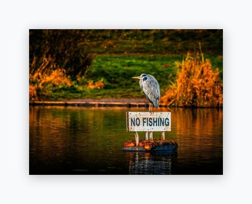Lustre Print 12x16 - Lustre Print 12x16
