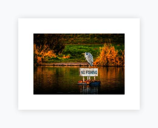 Mounted Print 12x16 (A3), Snow White Mount - Mounted Print 12x16 (A3), Snow White Mount