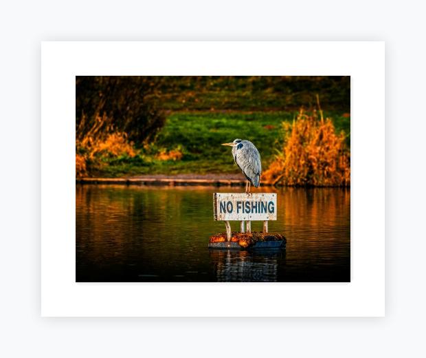 Mounted Print 16x20, Snow White Mount - Mounted Print 16x20, Snow White Mount