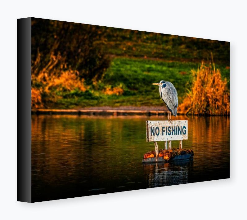 Stretched Canvas 12x16 on 38mm Bar, Black Wrap - Stretched Canvas 12x16 on 38mm Bar, Black Wrap