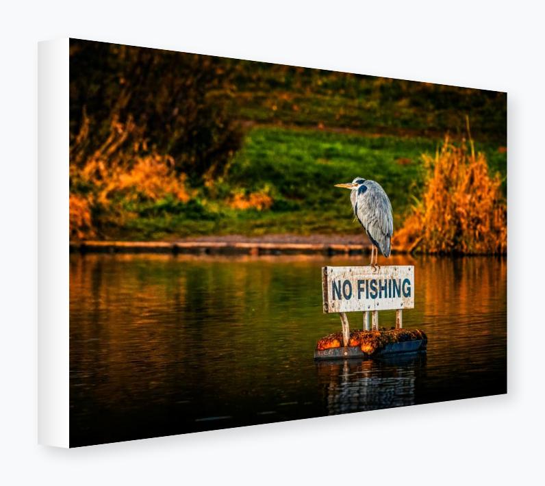 Stretched Canvas 12x16 on 38mm Bar, White Wrap - Stretched Canvas 12x16 on 38mm Bar, White Wrap
