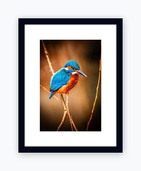 Classic 12x16 Black Frame, Snow White Mount - Classic 12x16 Black Frame, Snow White Mount