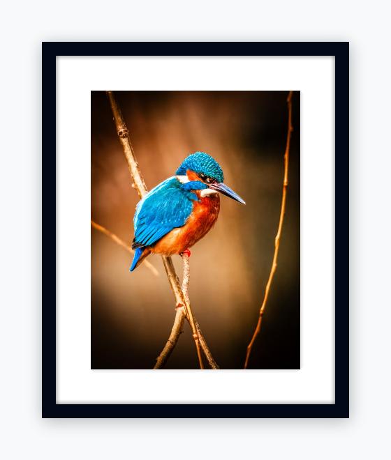 Classic 16x20 Black Frame, Snow White Mount - Classic 16x20 Black Frame, Snow White Mount