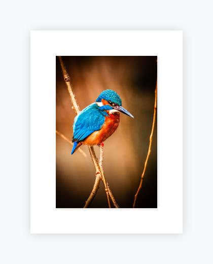 Mounted Print 12x16 (A3), Snow White Mount - Mounted Print 12x16 (A3), Snow White Mount