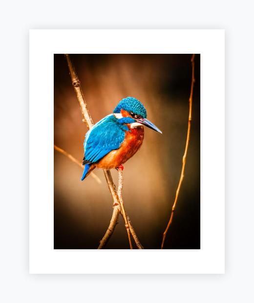Mounted Print 16x20, Snow White Mount - Mounted Print 16x20, Snow White Mount